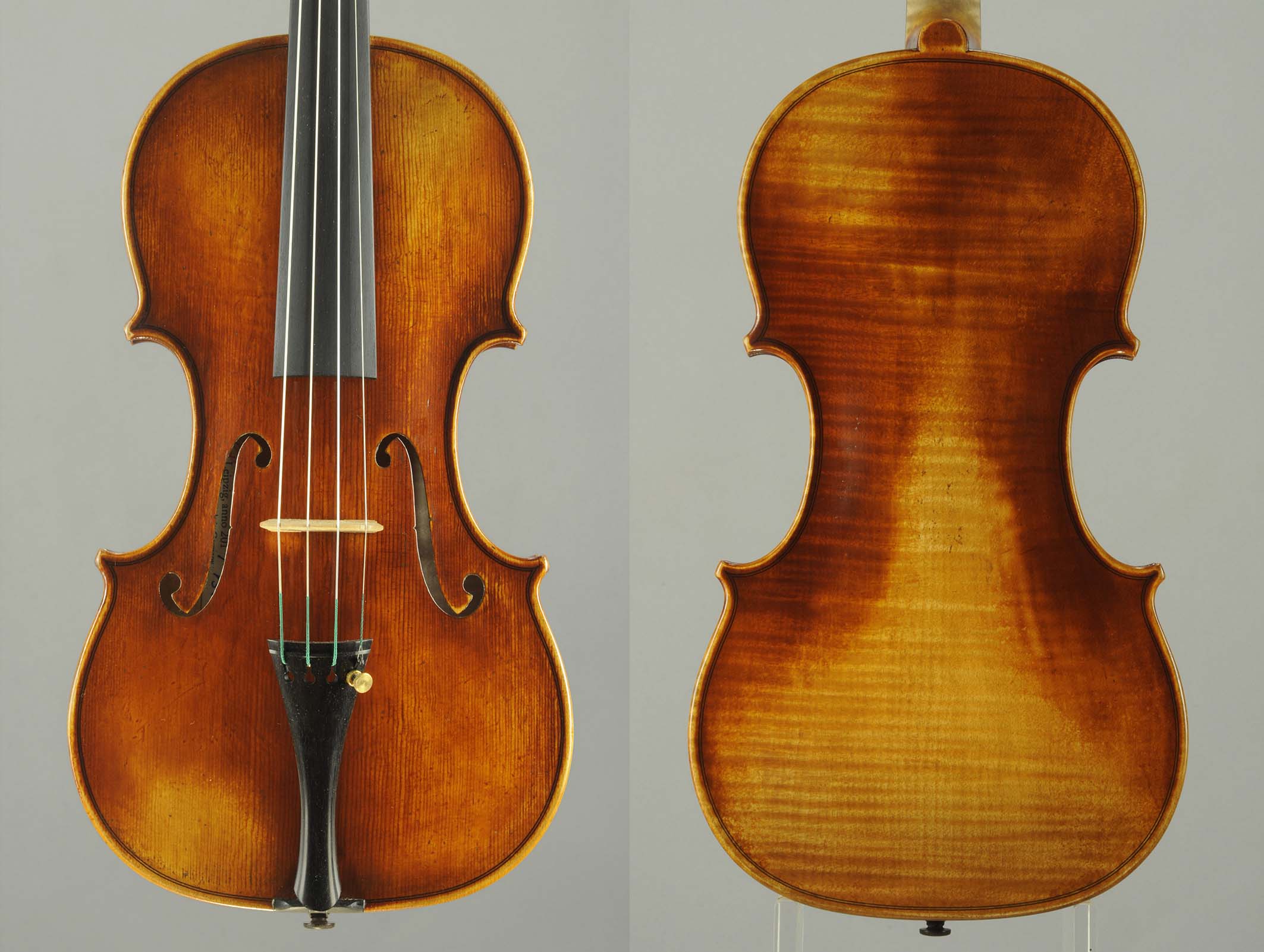Violin Model 5