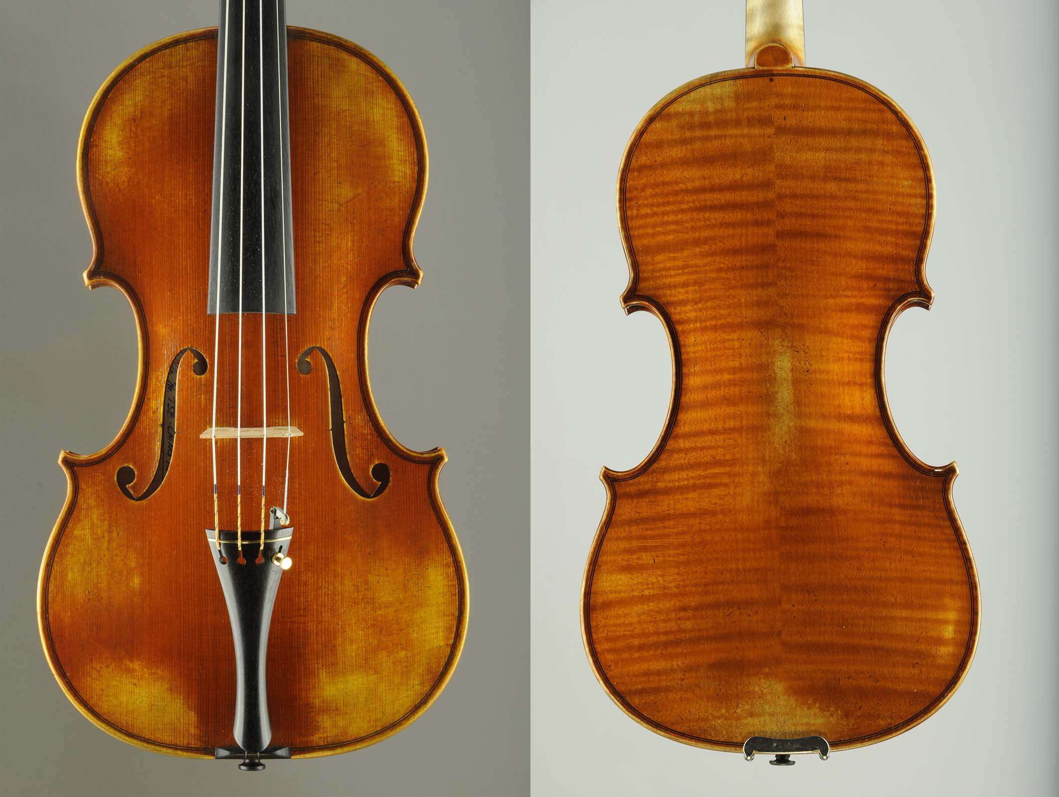 Violin Model 7